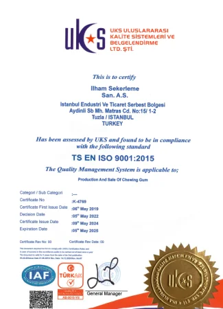 ISO 9001